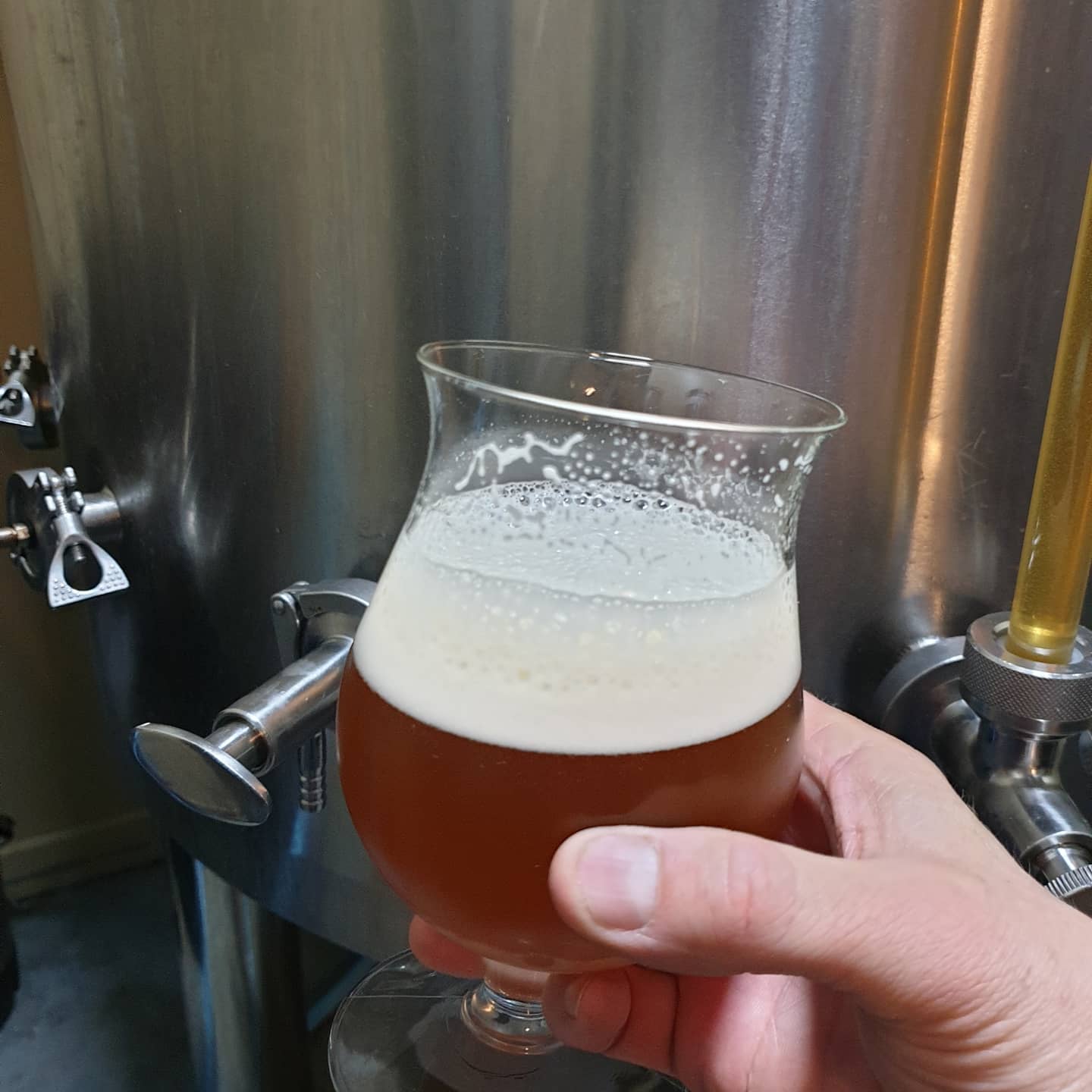 south australian beer